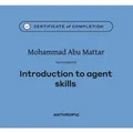 Introduction to agent skills
