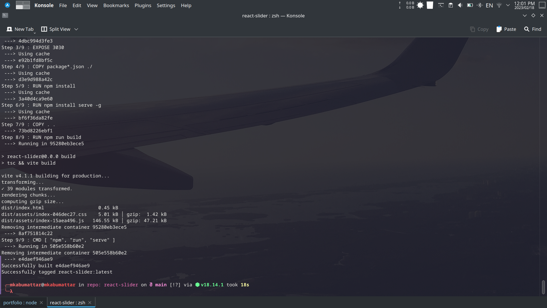 Building the Docker Image